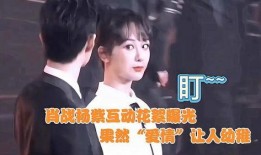 肖战杨紫最新圈内爆料,圈内爆料揭秘幕后故事